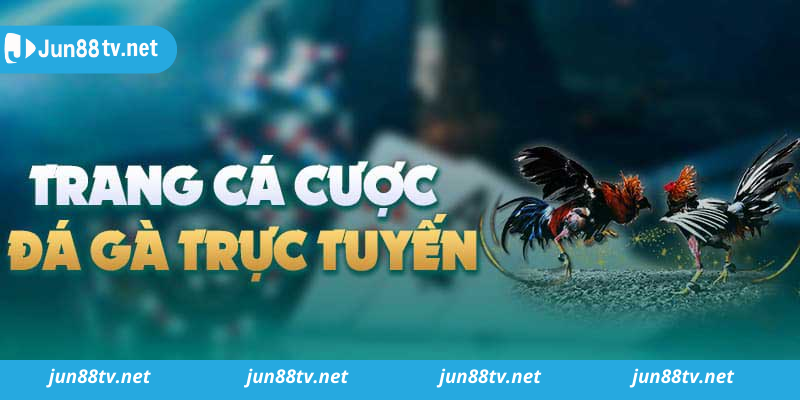 Những kinh nghiệm khi tham gia chơi game đá gà Jun88 trực tuyến