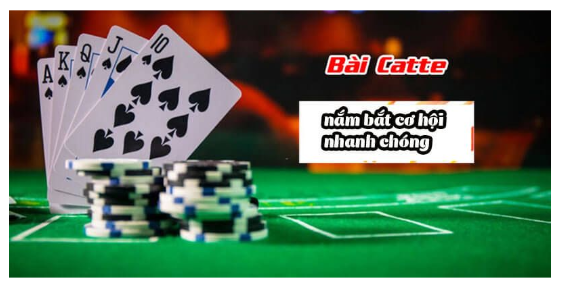 Bỏ túi kinh nghiệm đánh bài Catte 6686 expess từ cao thủ